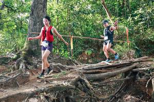 BIB: 
                            <button type="button" onclick="openModal(27556307)" class="btn btn-primary btn-sm float-right btn-popup" data-toggle="modal" data-target=".modal-high-quality">
                        <i class="fas fa-shopping-cart"></i> Add to Cart
                    </button>
                                            <button type="button" onclick="isThisMe(27556307, true)" class="btn btn-success btn-sm float-right btn-popup btn-isme hidden" data-toggle="tooltip" data-placement="bottom" title="นี่คือรูปของคุณใช่ไหม คลิกที่นี่เพื่อเอาเข้าอัลบั้ม">
                        <i class="fas fa-plus"></i> Add to album
                    </button>
                    <button type="button" onclick="isThisMe(27556307, false)" class="btn btn-warning btn-sm float-right btn-popup btn-isnotme hidden">
                        <i class="fas fa-ban"></i> Remove from album
                    </button>